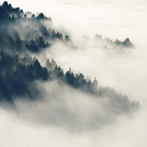 小咪儿仙儿骚麦原唱
